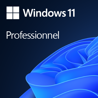 Grosbill Logiciel système exploitation Microsoft Windows 11 PRO 64Bits COEM