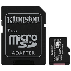 Grosbill Carte mémoire Kingston Micro SDHC 256Go Class 10 + Adapt SDCS2/256GB
