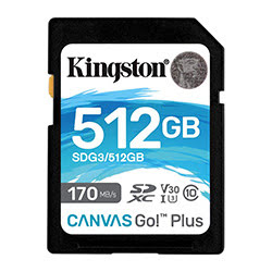 Grosbill Carte mémoire Kingston SDXC UHS-I U3 C10 V30 512Go - SDG3/512GB