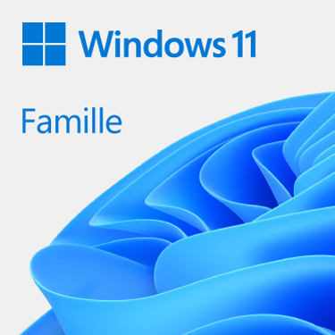 Grosbill Logiciel système exploitation Microsoft Windows 11 Home 64Bits COEM
