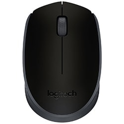 Grosbill Souris PC Logitech M171 - Noir/Sans Fil