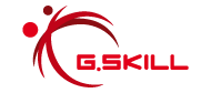 Logo G.Skill