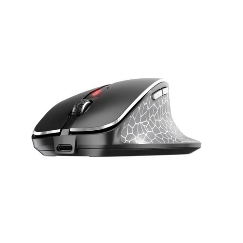 Cherry MW 8C Ergo - Souris PC Cherry - grosbill-pro.com - 1