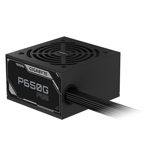 ATX 3.1 650W - 80+ GOLD FM - P650G PCIE 5.1