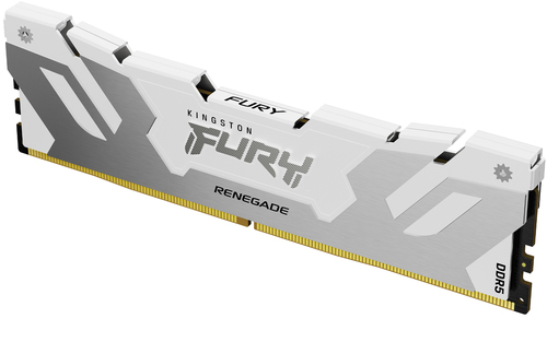 Fury Renegade 16Go (1x16Go) DDR5 7600MHz	
