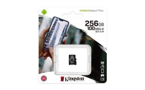 256GB micSDXC 100R A1 C10 w/o ADP - Achat / Vente sur grosbill-pro.com - 2