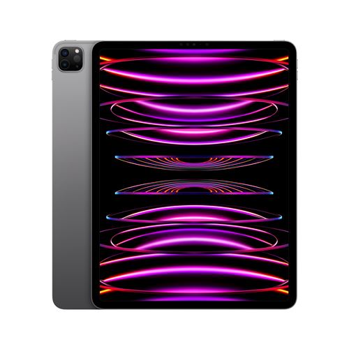 Grosbill Tablette tactile Apple iPad Pro 12.9" Wi-Fi 256GB Gris Sidéral