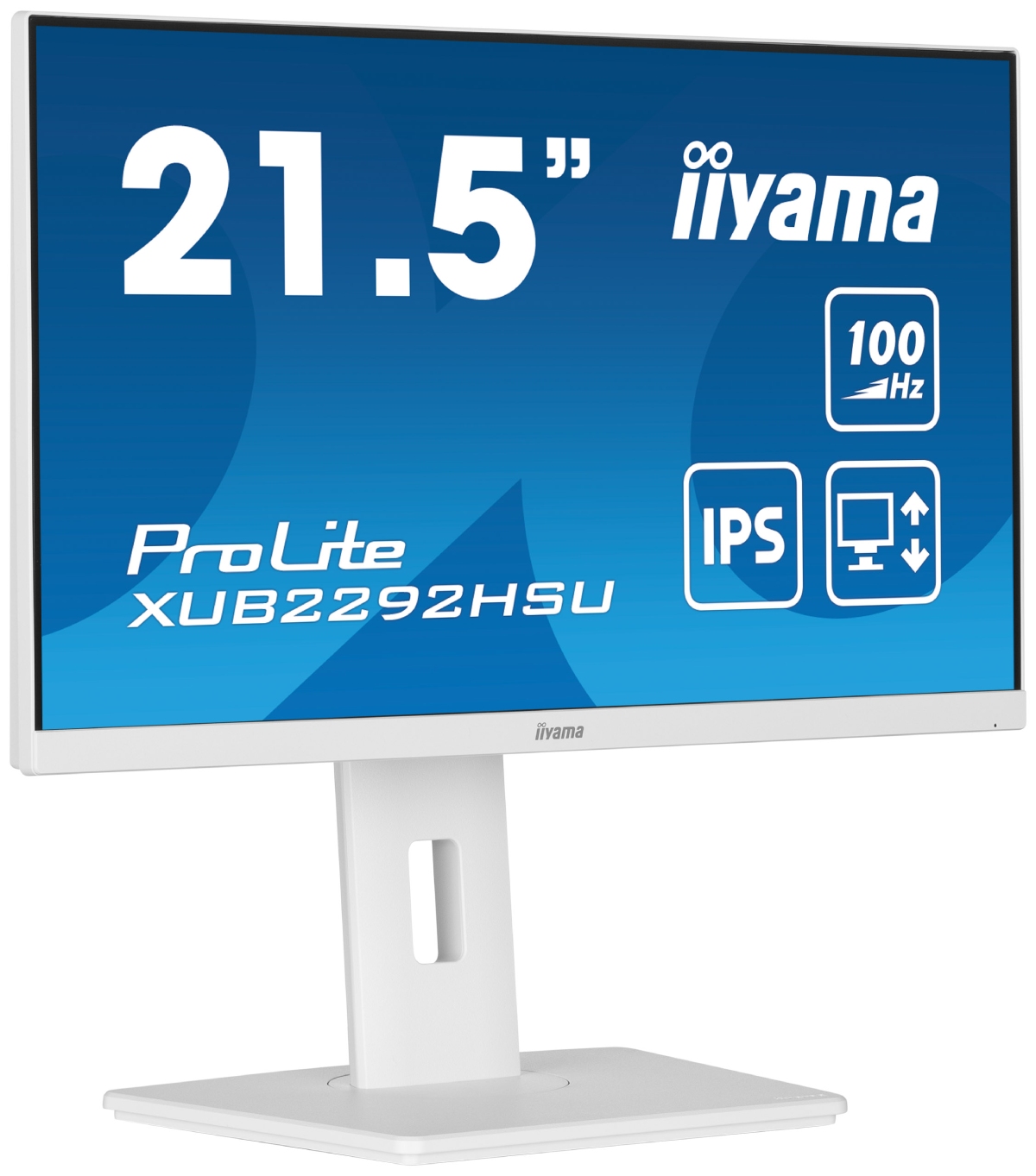 Iiyama 22"  XUB2292HSU-W6 - Ecran PC Iiyama - grosbill-pro.com - 2