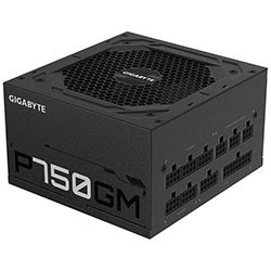 ATX 750W 80+ Gold - P750GM Fully Modular