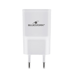 Chargeur Secteur 1xUSB 5V 2.1A 10W