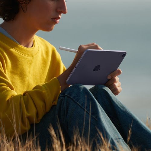 iPad Mini Wi-Fi 64GB Starlight - Achat / Vente sur grosbill-pro.com - 3