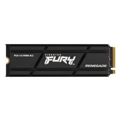 500Go M.2 NVMe Gen4 FURY Renegade-SFYRSK/500G w/hs 