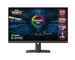 MAG321QR-QD 31.5" WQHD/170Hz/1ms/IPS/HDR400/FS-P 
