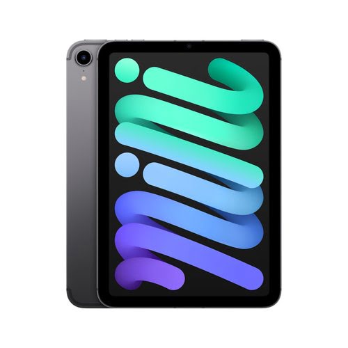 iPad Mini Wi-Fi Cl 64GB Sp Gray - Achat / Vente sur grosbill-pro.com - 0
