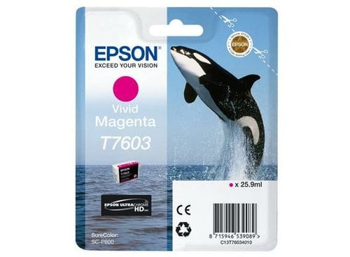 Epson Ink/T7603 Viv Magenta