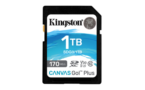 Kingston Micro SDXC 1To Class 10 - - Carte mémoire Kingston - 0