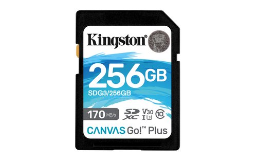 Grosbill Carte mémoire Kingston 256GB SDXC Canvas170R C10 UHS-I U3 V30