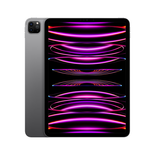 iPad Pro (2022) 11 pouces 128 Go Wi-Fi Gris Sidéral 