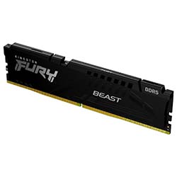 Fury Beast 16Go (1x16Go) DDR5 4800MHz