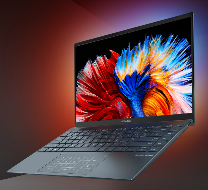 image produit Asus ZenBook 13 OLED UX325 Grosbill