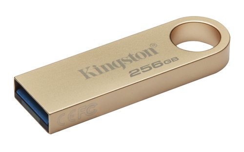 Kingston 256Go USB 3.2 Datatraveler DTSE9G3/256Go - Clé USB - 1