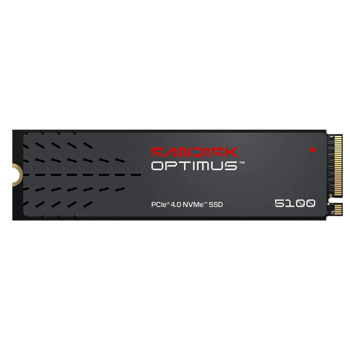 Sandisk Optimus 5100 4To M.2 — vue 2