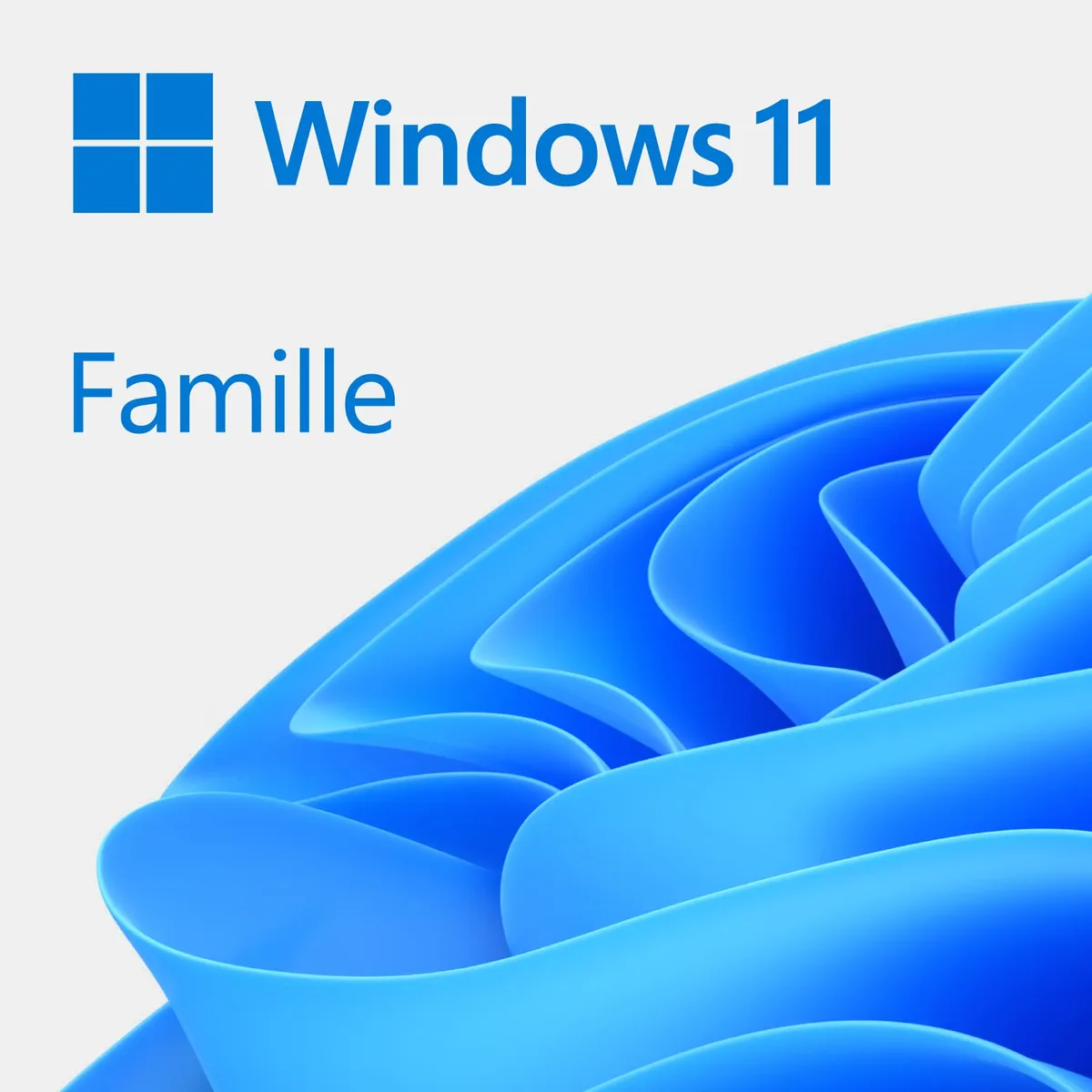 Microsoft Windows 11 Home 64Bits — vue 1