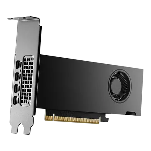 PNY RTX 2000 Ada - RTX2000/16GB/LowProfil — vue 3