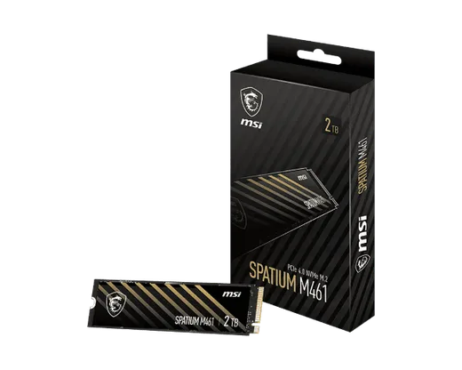 MSI Spatium M461 500Go M.2 — vue 1