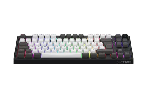 Hator Skyfall 80 Pro TKL - Mécanique - Sans-Fil - RGB - Gris/Noir