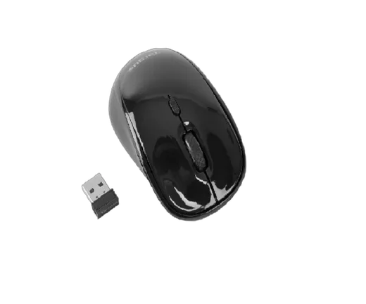 Souris Optique - Sans-Fil/Noir