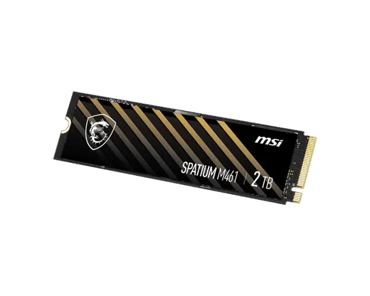 MSI Spatium M461 500Go M.2 — vue 2