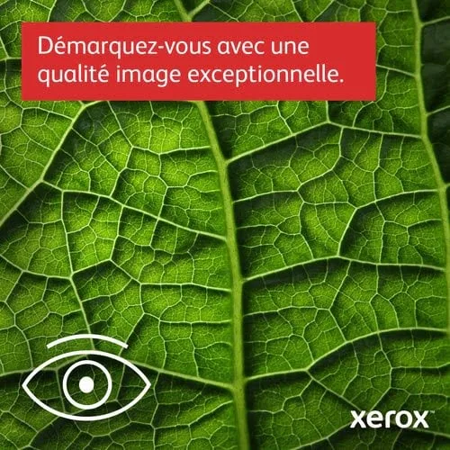 Xerox B225 MONO MULTIFUNCTION PRINTER (B225V_DNI) — vue 11