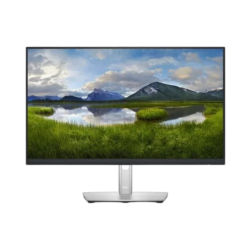 DELL P2422HE — vue 1