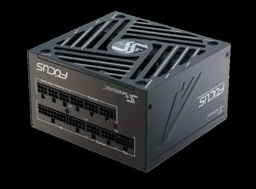 Seasonic ATX 1000W 80+ Gold - FOCUS-GX-1000-V4 — vue 8