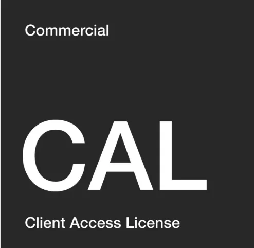 Microsoft Windows Server 2025 CAL USER - 1 Licence OEM — vue 1