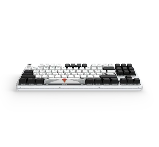Dark Project Fuji 87 V2 TKL - Mécanique - Filaire - RGB - Blanc — vue 6
