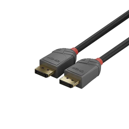 Lindy Câble Line DisplayPort 1.4 mâle/mâle - 1m — vue 5