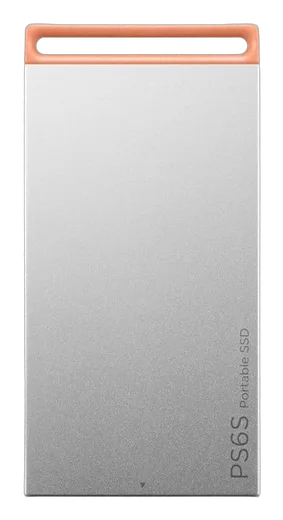 PS6S 1To Gris