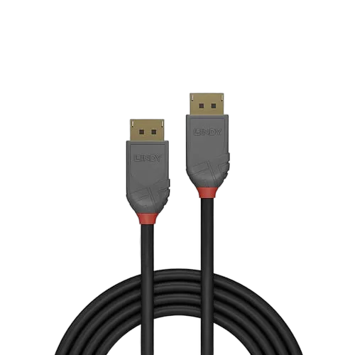 Lindy Câble Line DisplayPort 1.4 mâle/mâle - 1m — vue 2