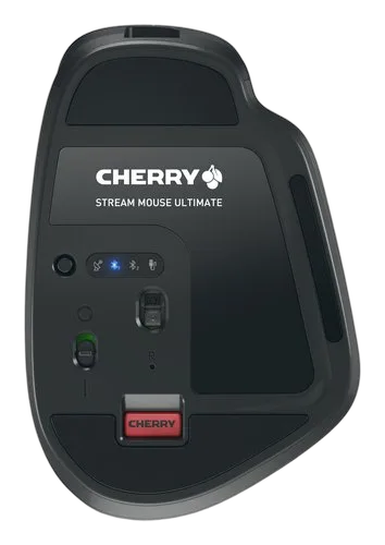 Cherry 12033075 — vue 15