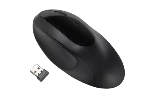 Kensington Pro Fit Ergo Wireless Mouse (K75404EU) — vue 1