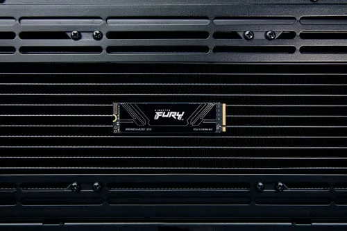 Kingston Fury Renegade 1To M.2 Gen5 — vue 4
