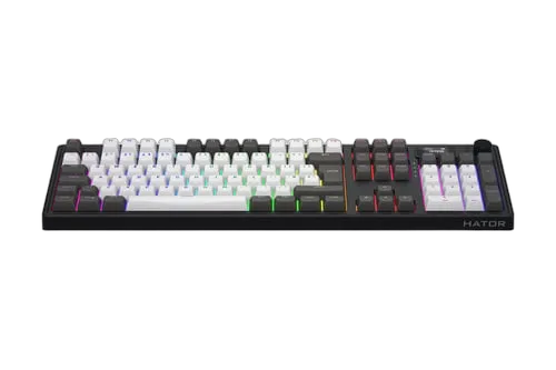 Skyfall 100 Pro -Mécanique/Sans-Fil/RGB/Noir/Gris