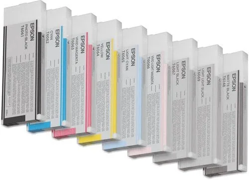 Epson Ink/T606600 220ml VLMG — vue 1