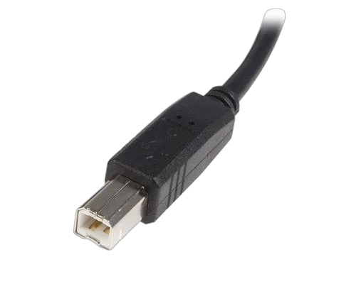 StarTech 0.5m USB 2.0 A to B Cable - M/M — vue 3