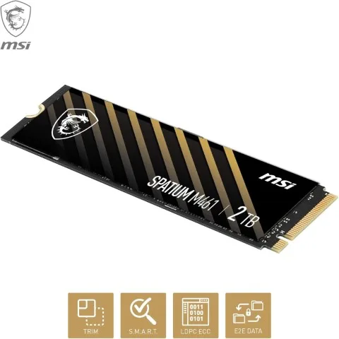 MSI SPATIUM M461 2To M.2 — vue 6