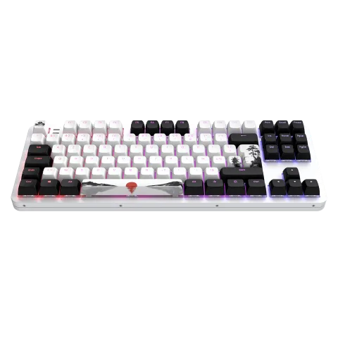 Dark Project Fuji 87 V2 TKL - Mécanique - Filaire - RGB - Blanc — vue 9