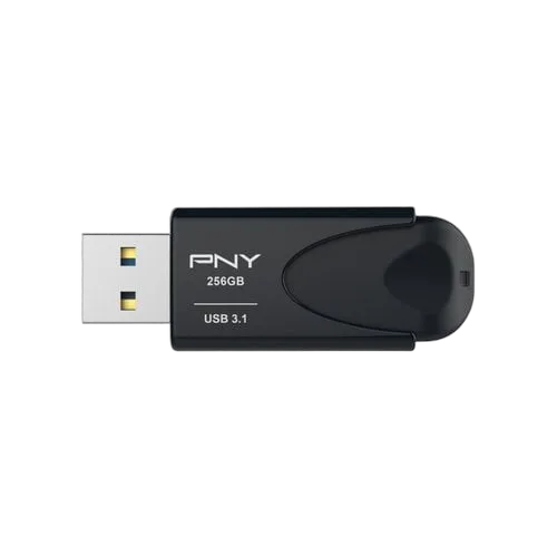 PNY ATTACHE 4 3.1 256GB — vue 4