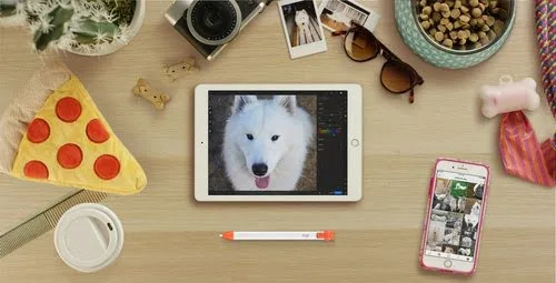 Logitech Crayon Orange, Blanc — vue 17